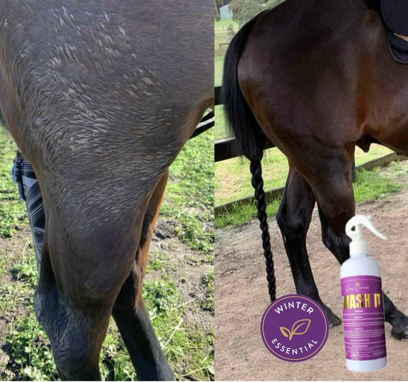 How to Clean Your Horse in Winter Without Water - The Australian Horse Owner's Guide