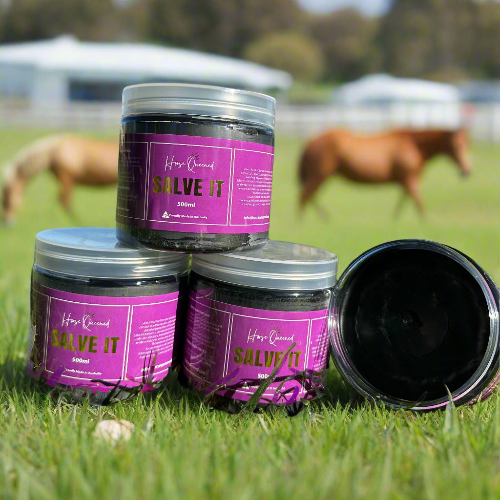 🐴 Winter Woes: Grooming Support for Greasy Heel, Girth Rubs & Itchy Coats