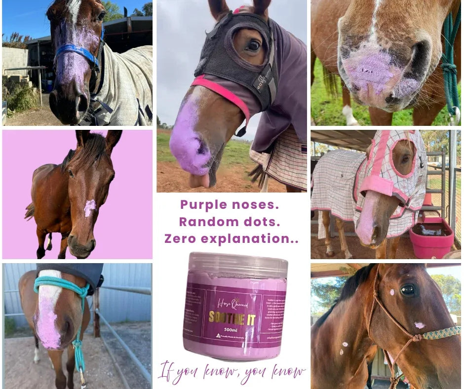 Rug Rubs & Bald Patches in Horses: What's Actually Happening (And How to Help)