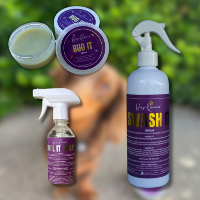 POOCH PACK- For dog lovers