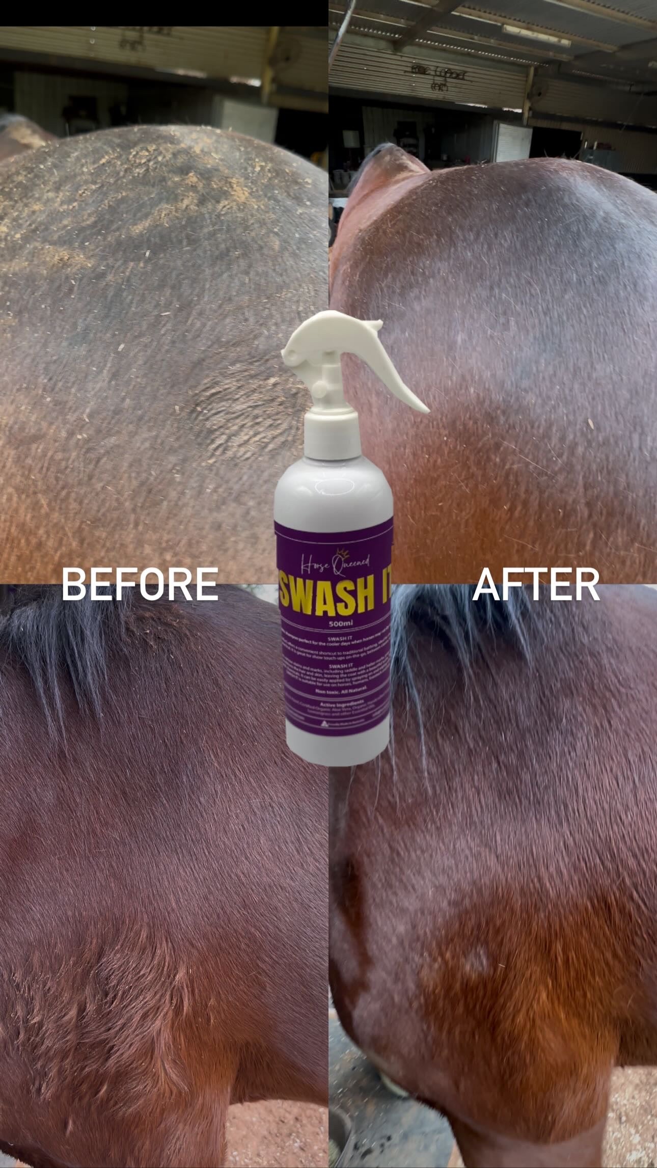Swash It – Spray, rub, done. Fast clean-up for mud + show prep