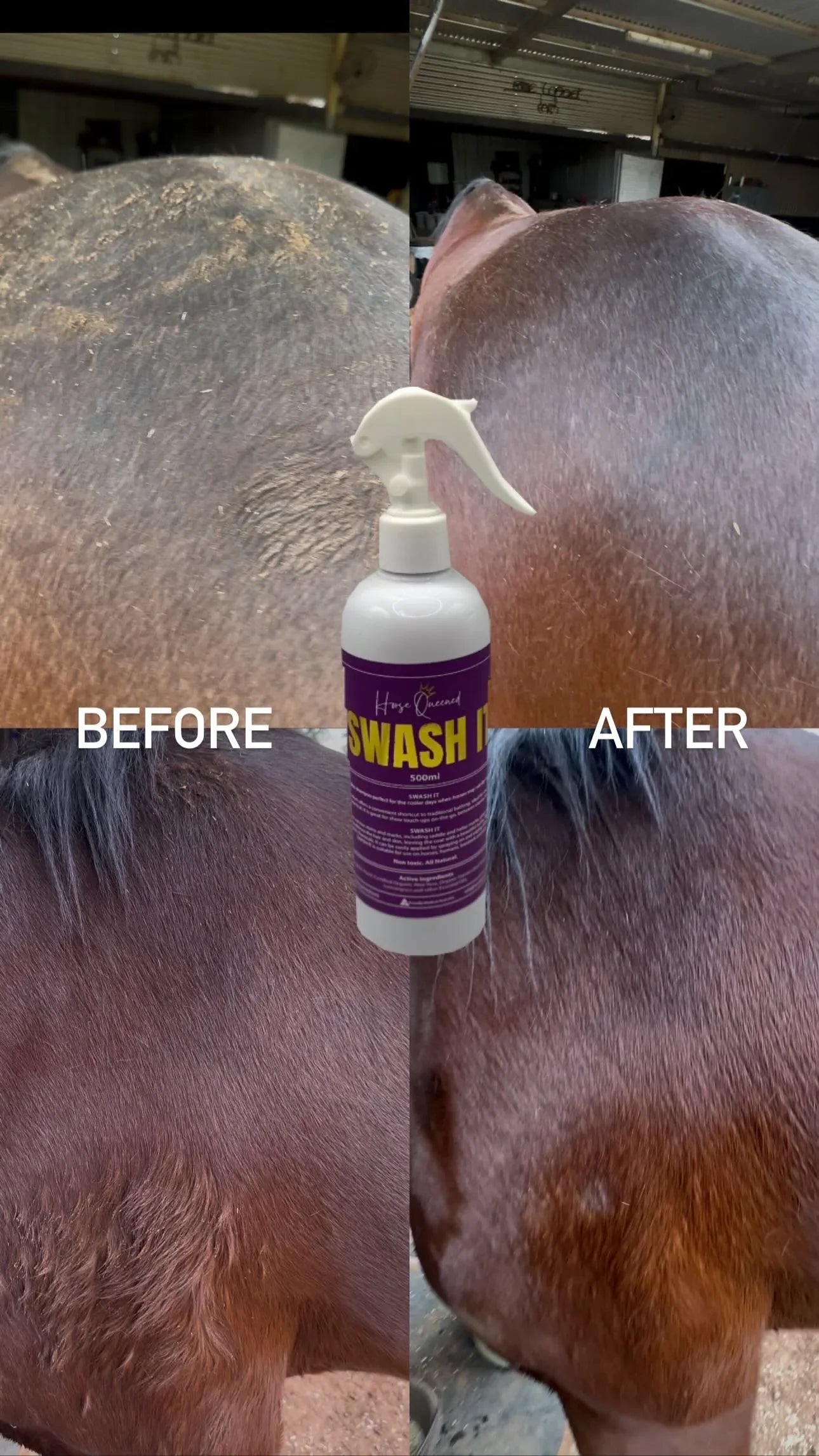 Swash It – Spray, rub, done. Fast clean-up for mud + show prep - Horse Queened