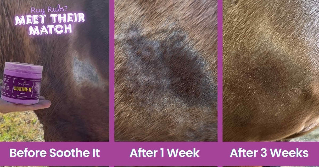 Before and after comparison of a horse's skin with 'Soothe It' cream, showing improvement over time.