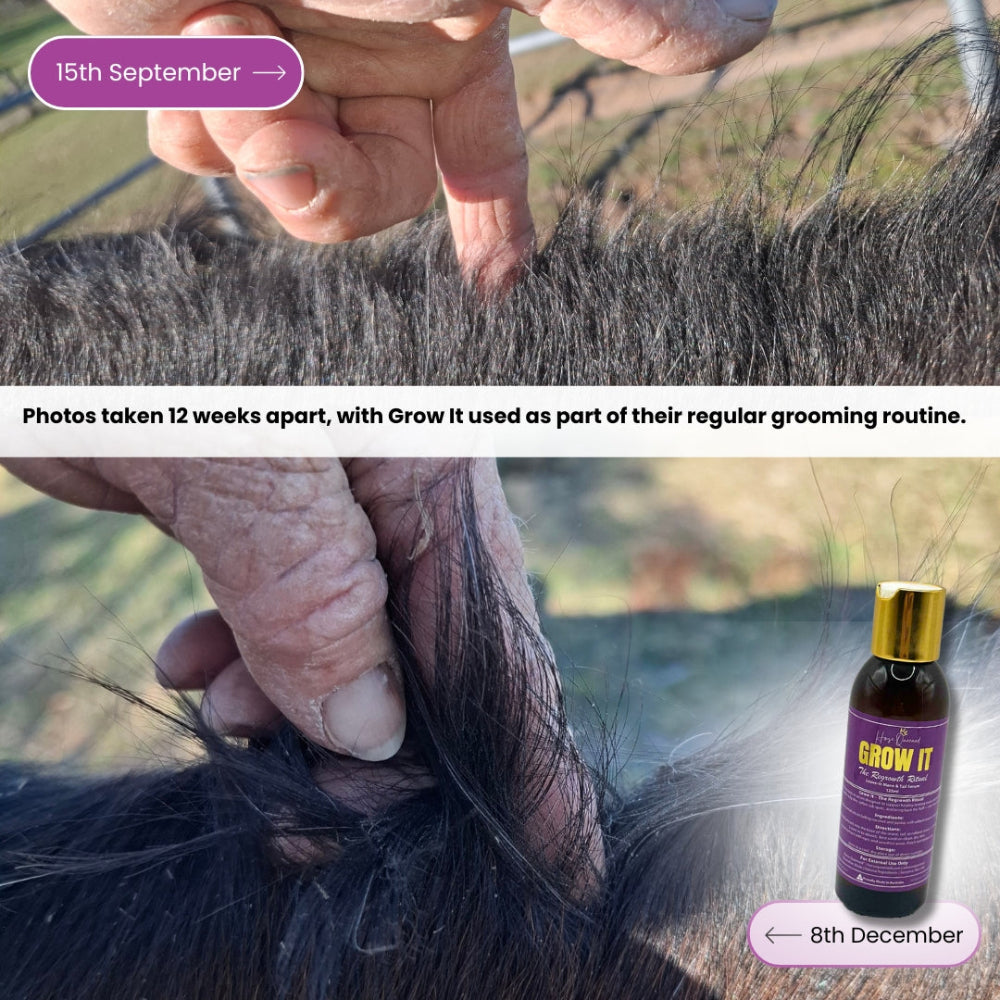 Comparison of horse hair before and after using 'Grow It' product, with a bottle of 'Grow It' visible.
