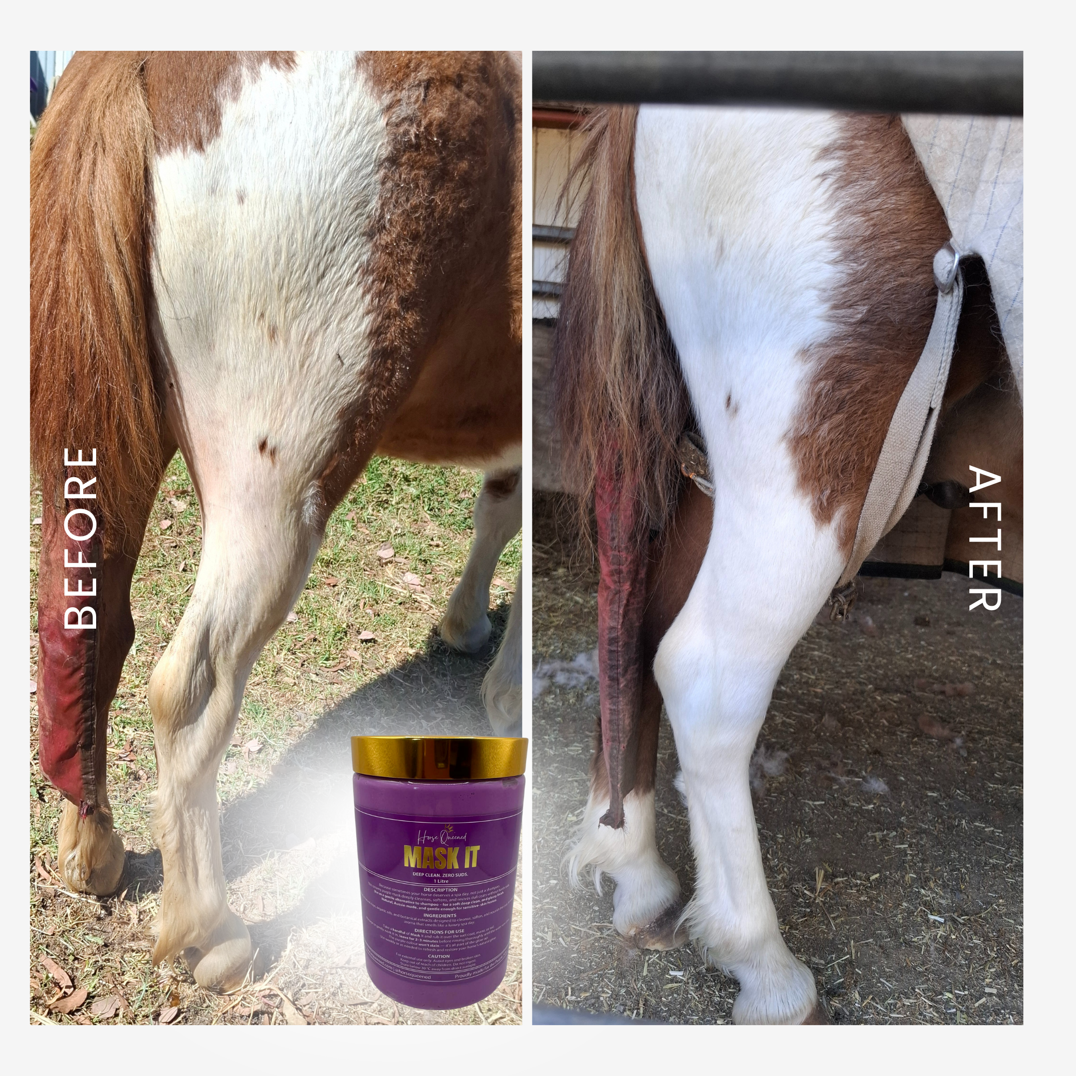 Mask It Purple Clay Mask Spa for Horses | Natural Coat Wash