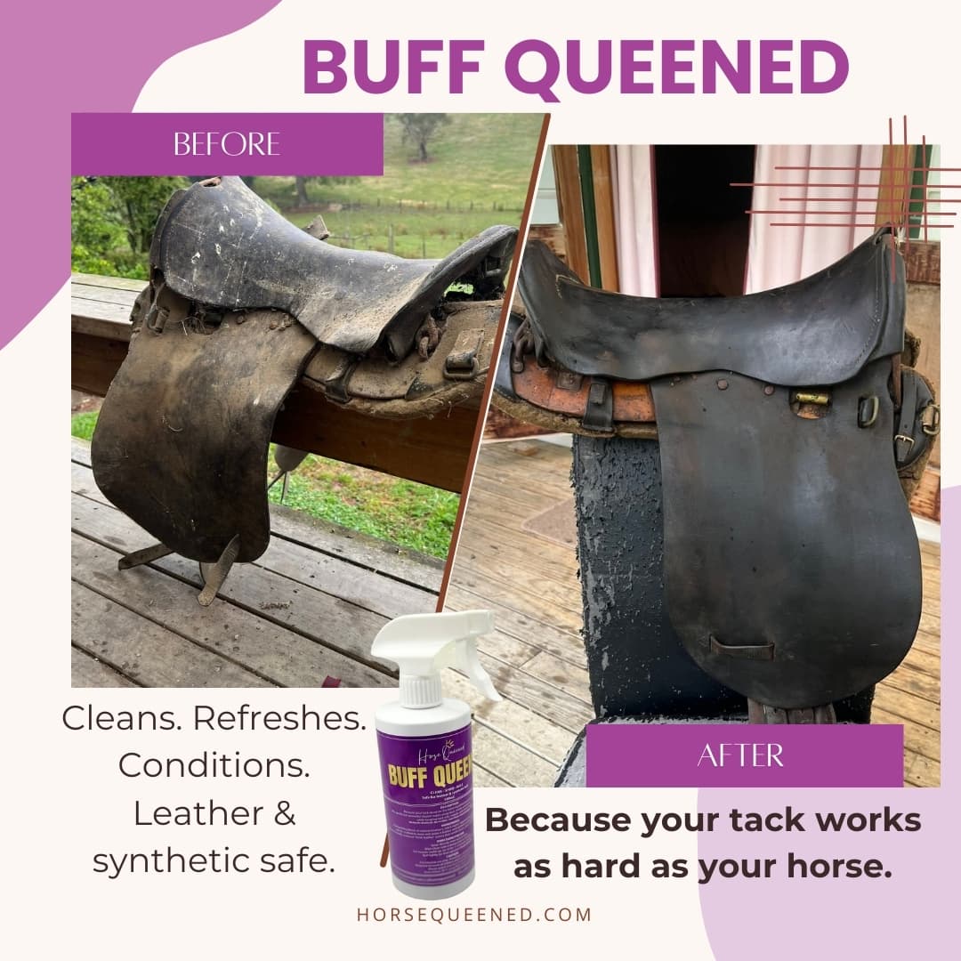 Buff Queened – Horse Care Leather & Synthetic Tack Cleaner/Conditioner Spray - Horse Queened