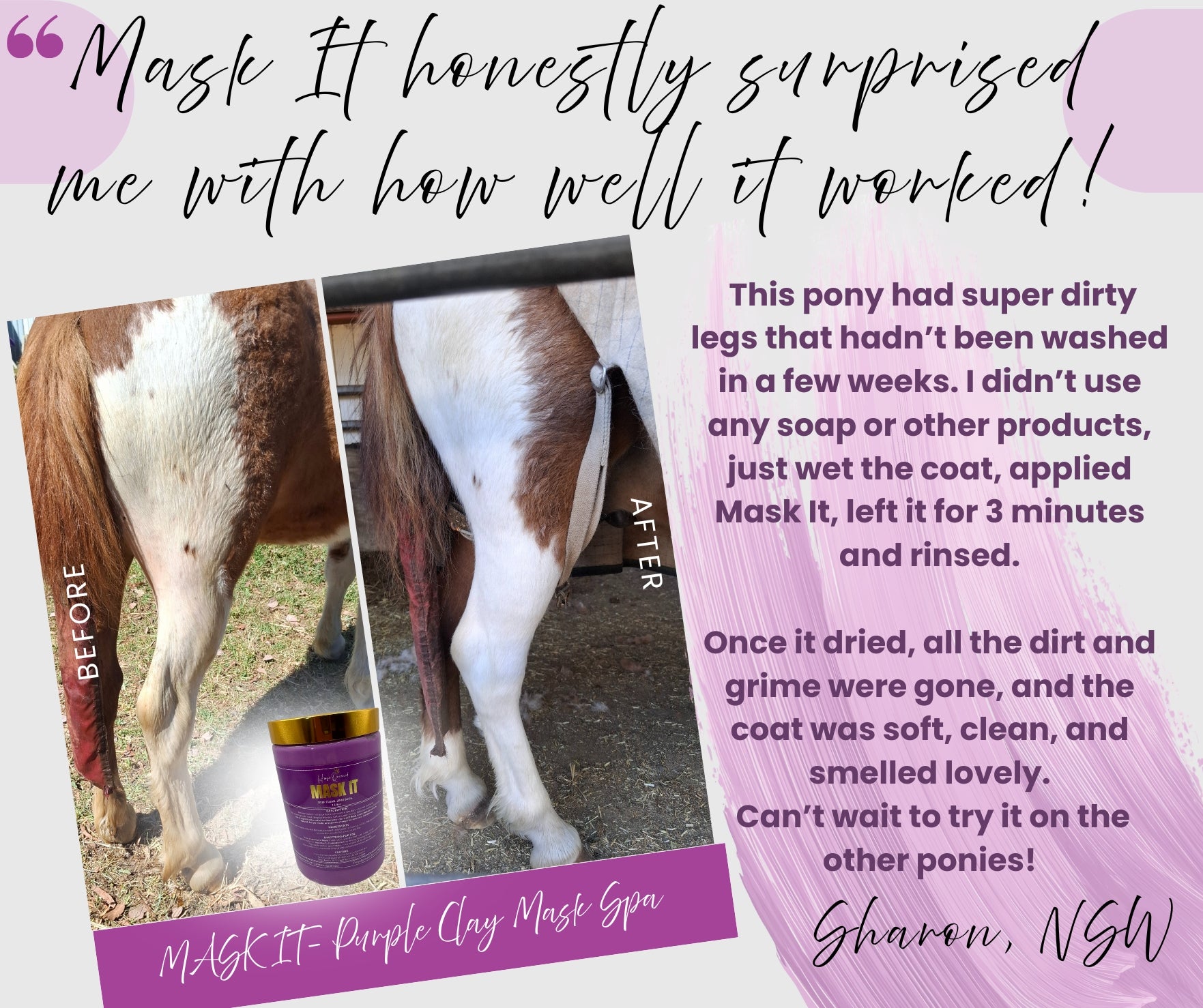 Mask It Purple Clay Mask Spa for Horses | Natural Coat Wash