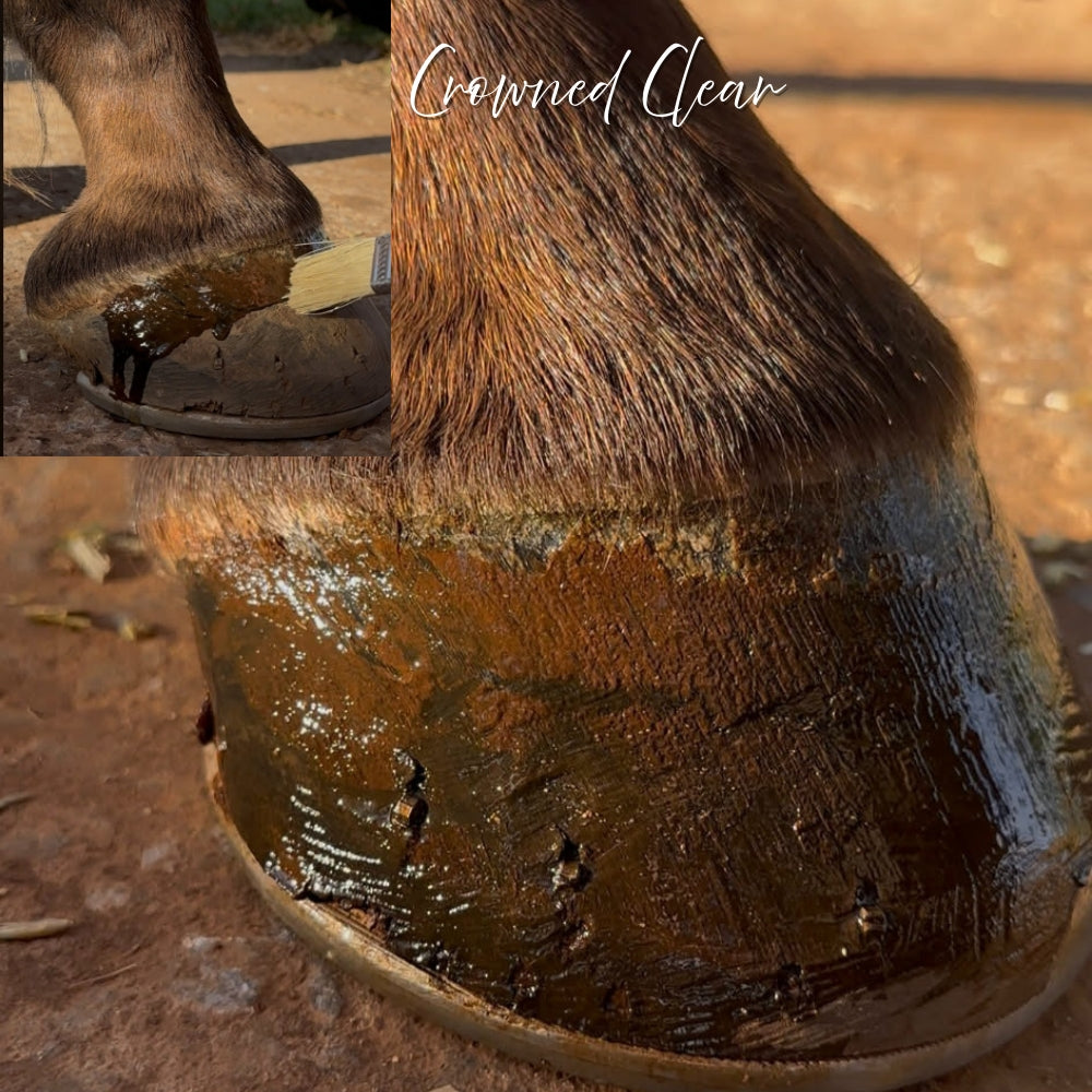 Polish It – Hoof Royalty