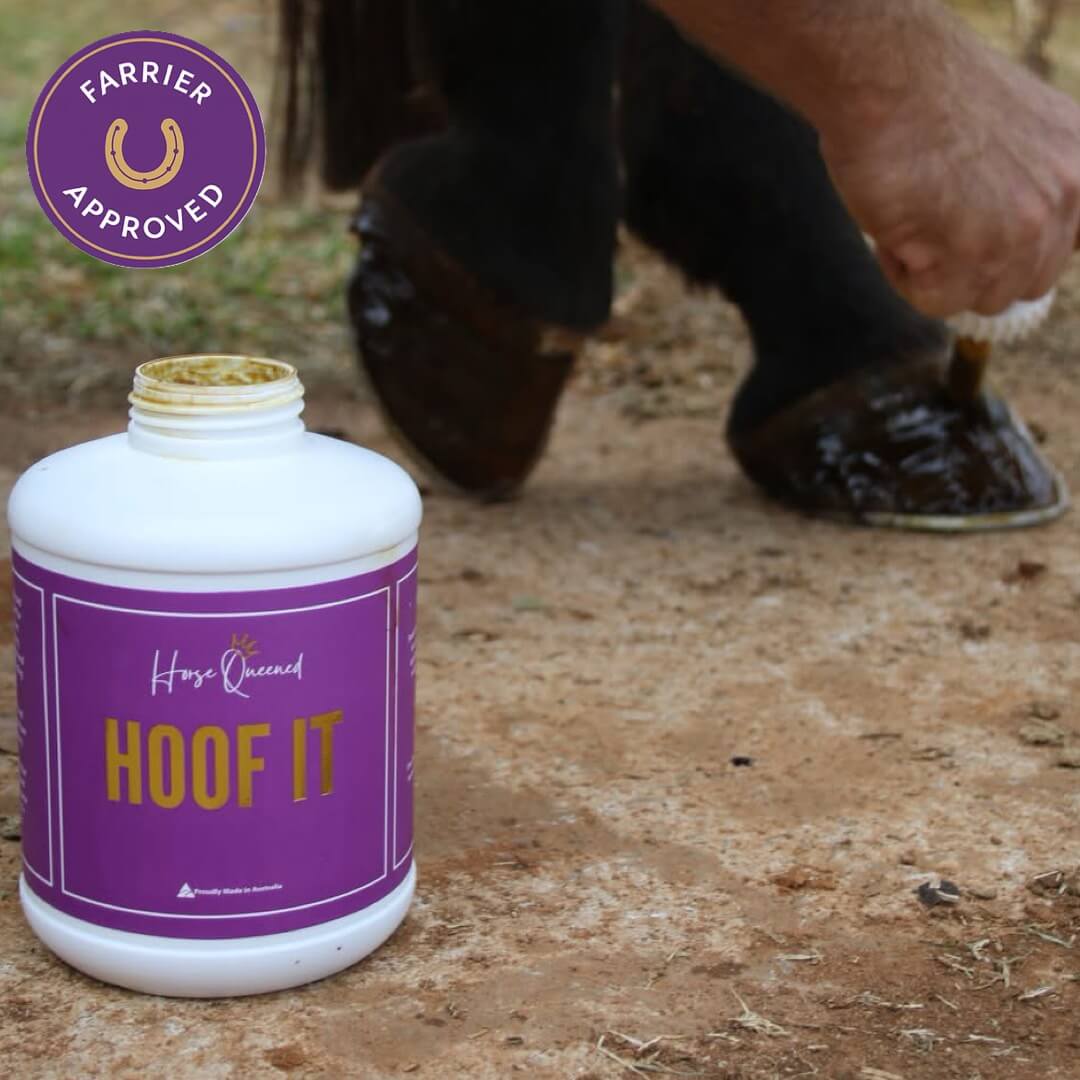 Applying Hoof It balm to dry, cracked horse hoof
