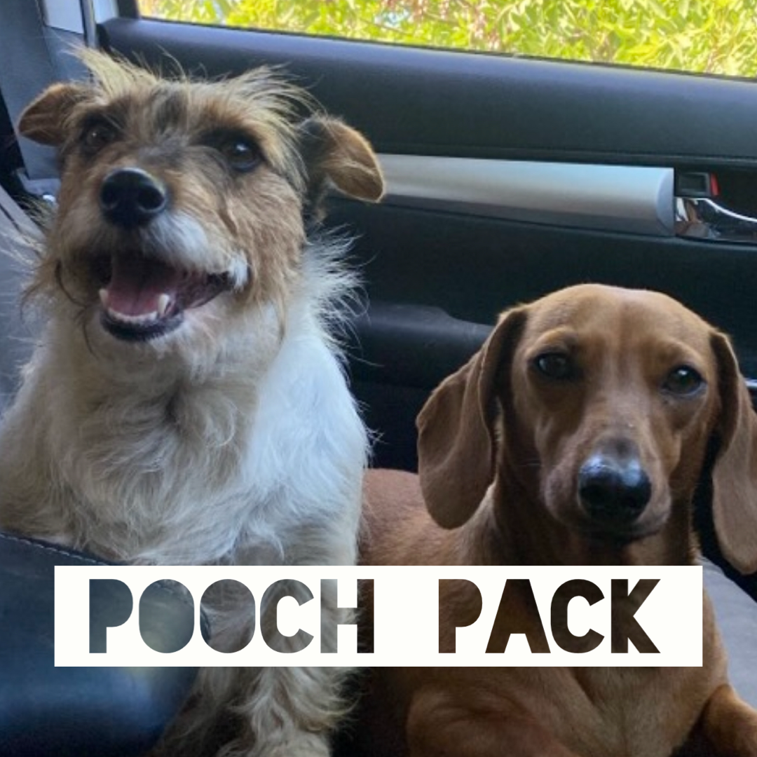 POOCH PACK- For dog lovers