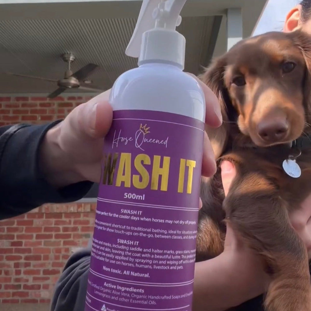 Swash It waterless shampoo for dogs – spray bottle with purple label, used for quick grooming