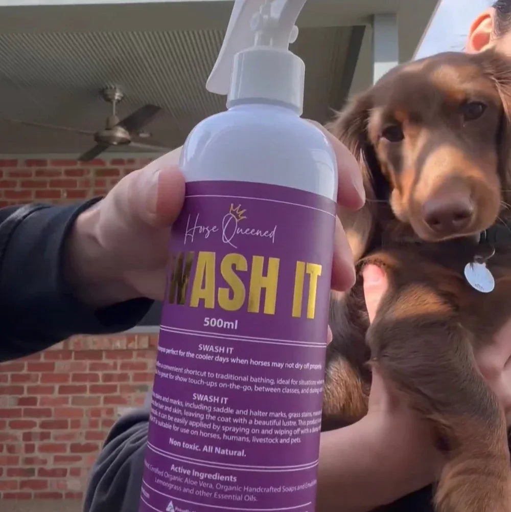 🐶 DOGGY Swash It – Spray, Rub, Done - Horse Queened