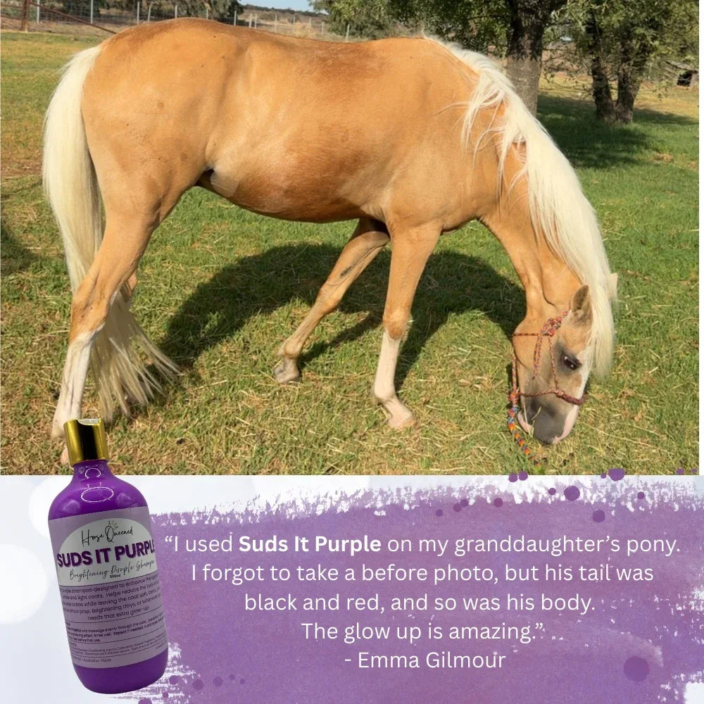 Suds It Purple – Natural Brightening Purple Shampoo - Horse Queened