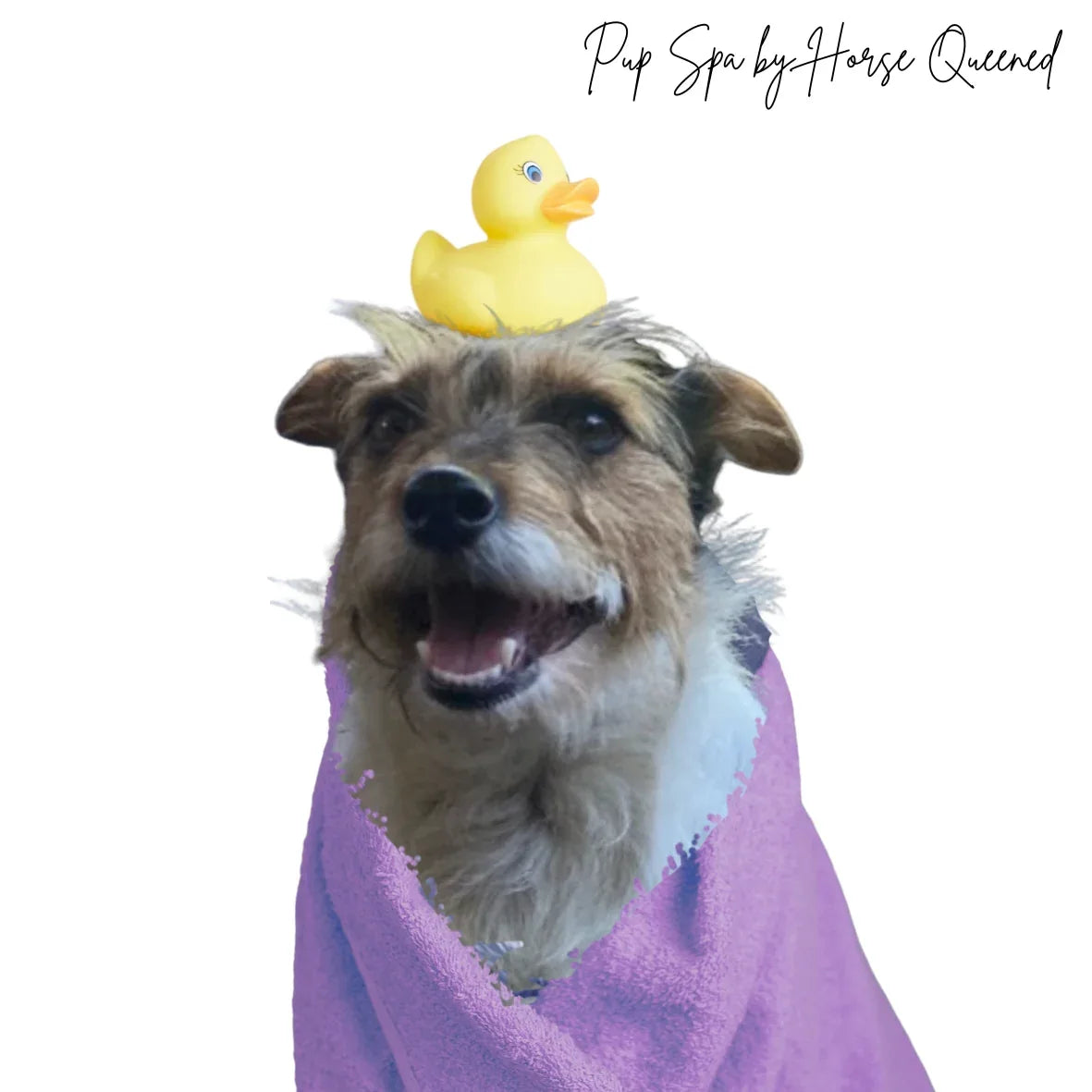 🐶 Poppy Rinse- Softening Dog Conditioner - Horse Queened