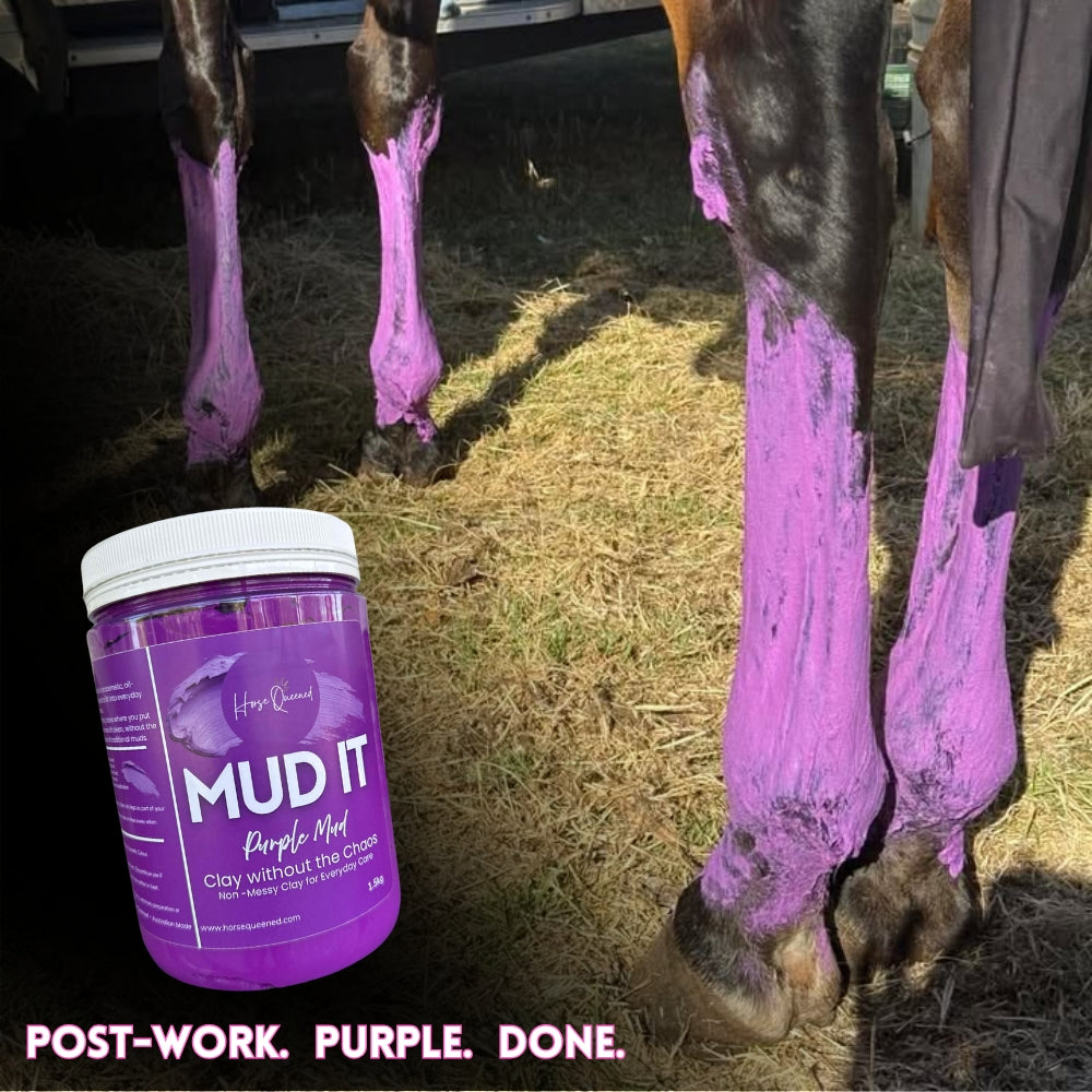 Mud It – Purple Clay for Horses | Clay Without the Chaos