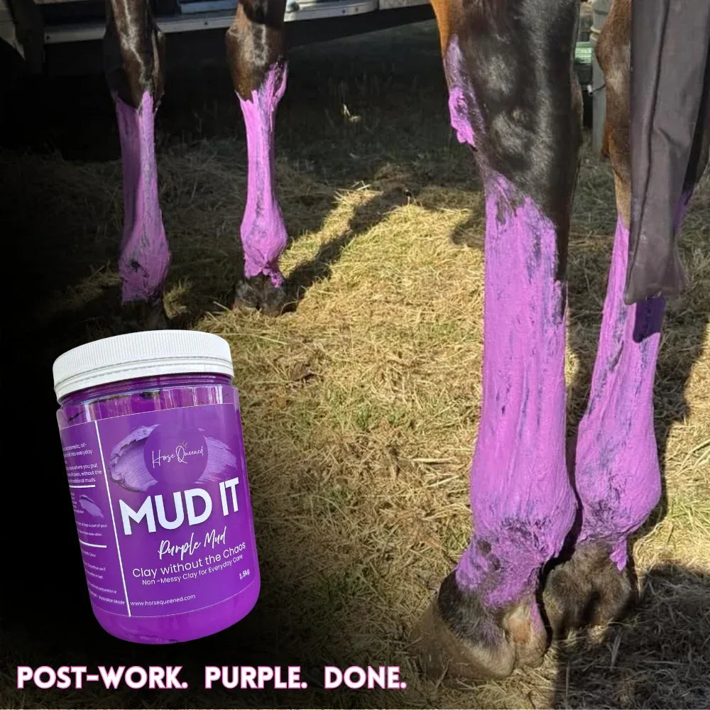 Mud It – Purple Clay for Horses | Clay Without the Chaos - Horse Queened