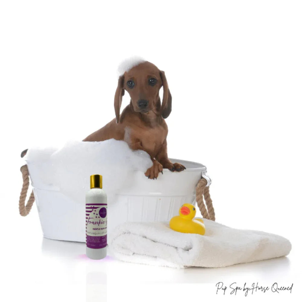 🐶 Frankie Suds- Gentle Dog Shampoo - Horse Queened