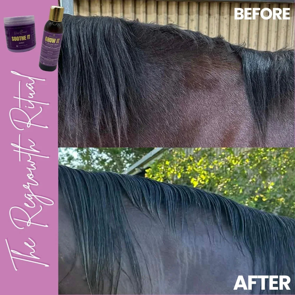 The Regrowth Ritual Pack- Natural Coat, Mane & Tail Care Duo | Soothe It + Grow It - Horse Queened