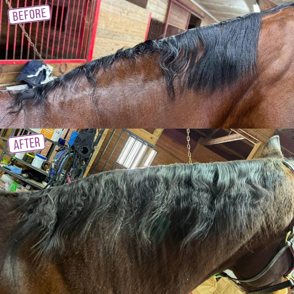 Grow It – The Regrowth Ritual | Leave-In Mane & Tail Serum - Horse Queened