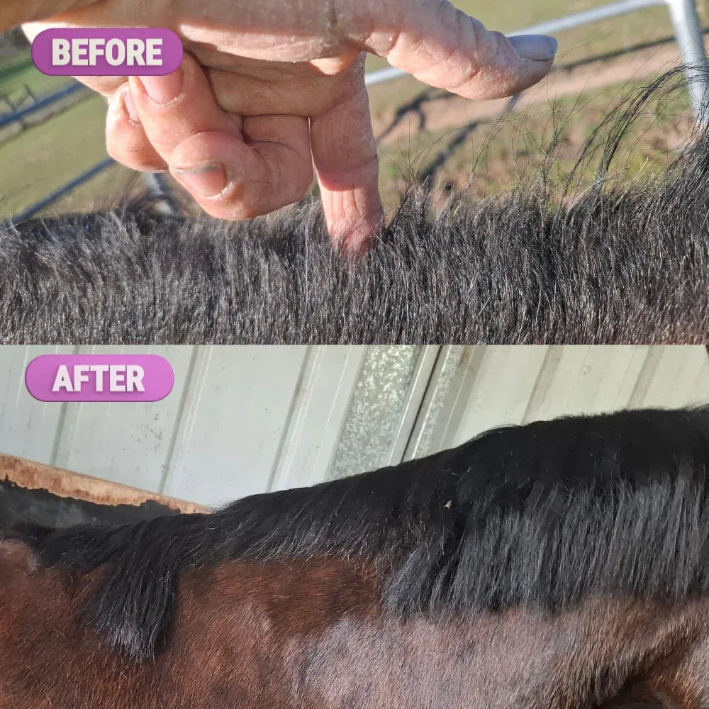 Grow It – The Regrowth Ritual | Leave-In Mane & Tail Serum - Horse Queened