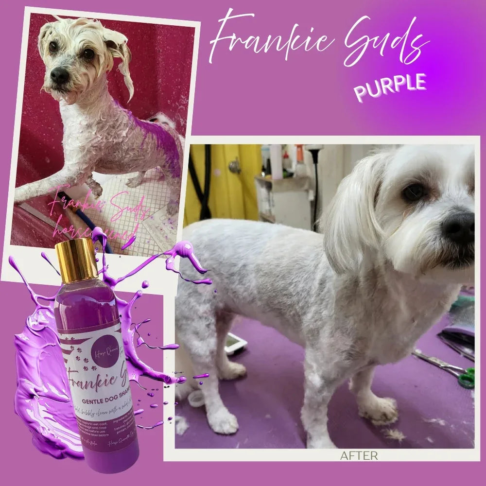 🐶 Frankie Suds Purple- Gentle Whitening Dog Shampoo - Horse Queened