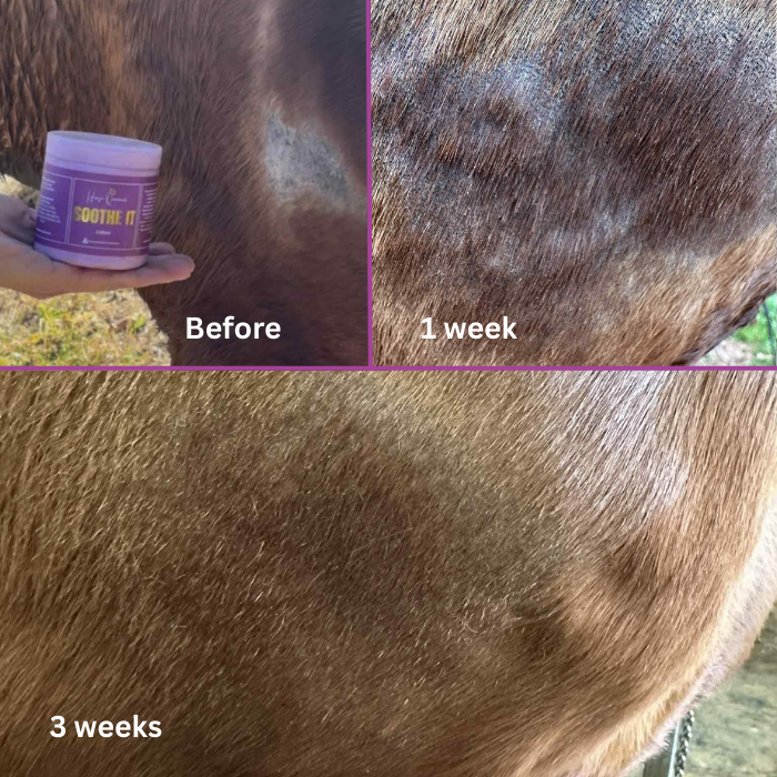 The Regrowth Ritual Pack- Natural Coat, Mane & Tail Care Duo | Soothe It + Grow It