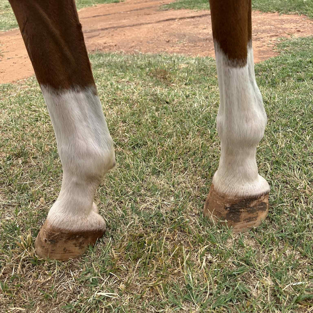 The Whites & Brights Pack – Mask It + Sock It Whitening Duo