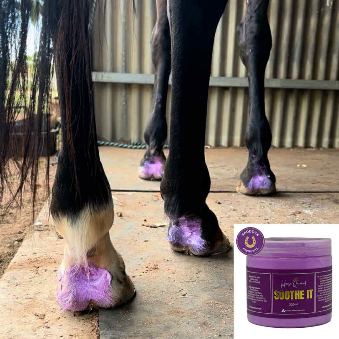 a video about how soothe it works on rug rubs, greasy heel and mystery rub patches and bald spots