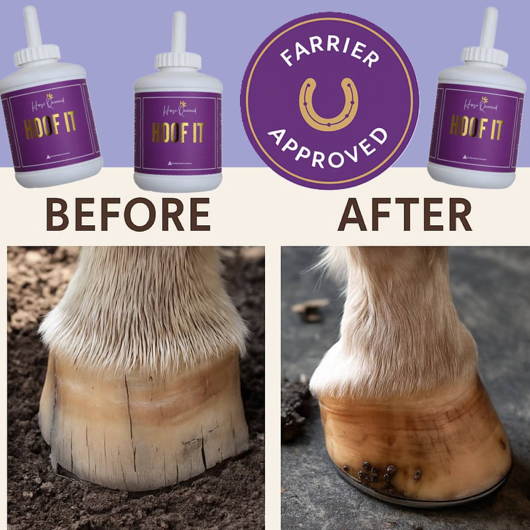 young boy painting hoof it onto his horses hooves that are very dry