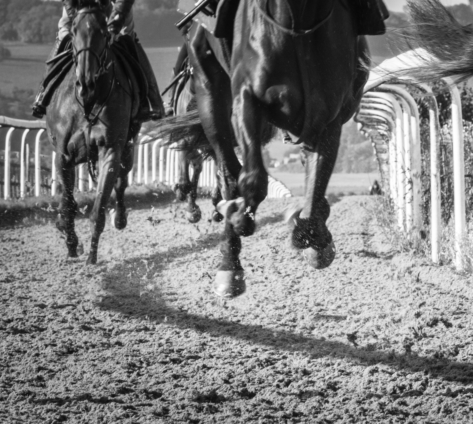 Horses racing on a track with a blurred background