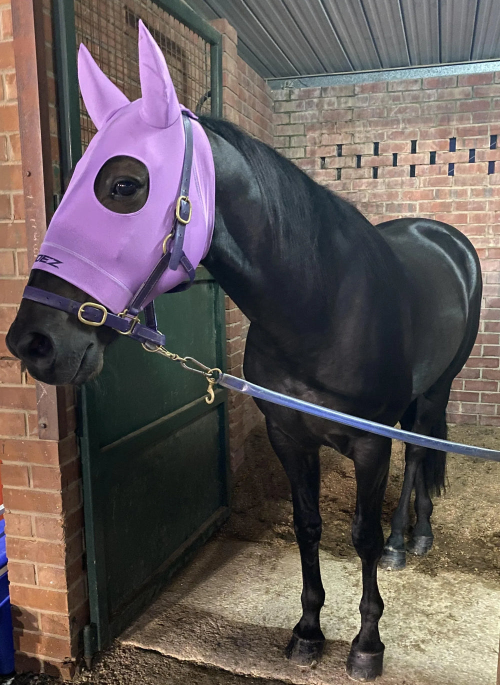 Easy Grooming & Glow-Ups