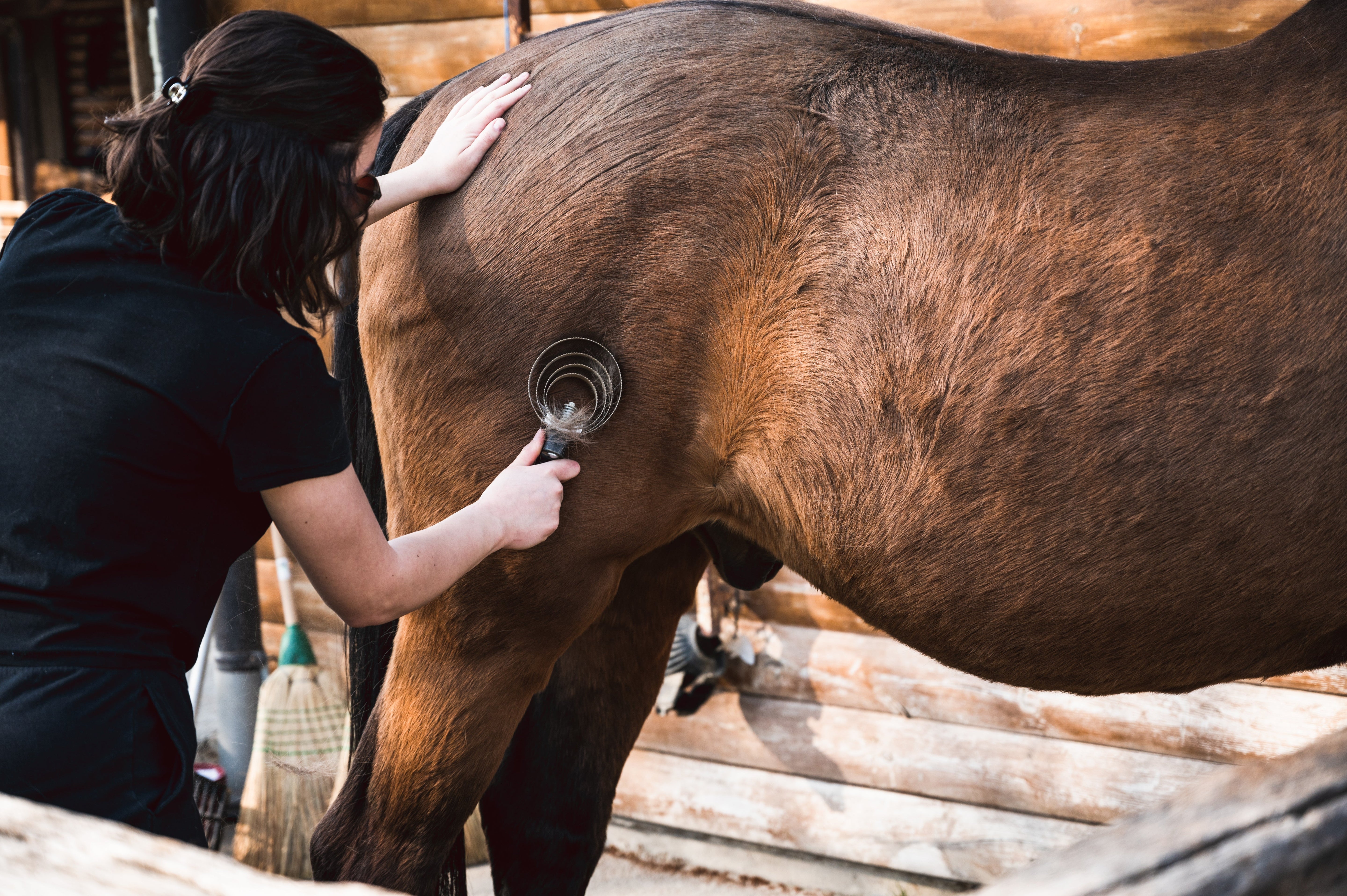 Horse Queened full product range for grooming, hooves, and skin care