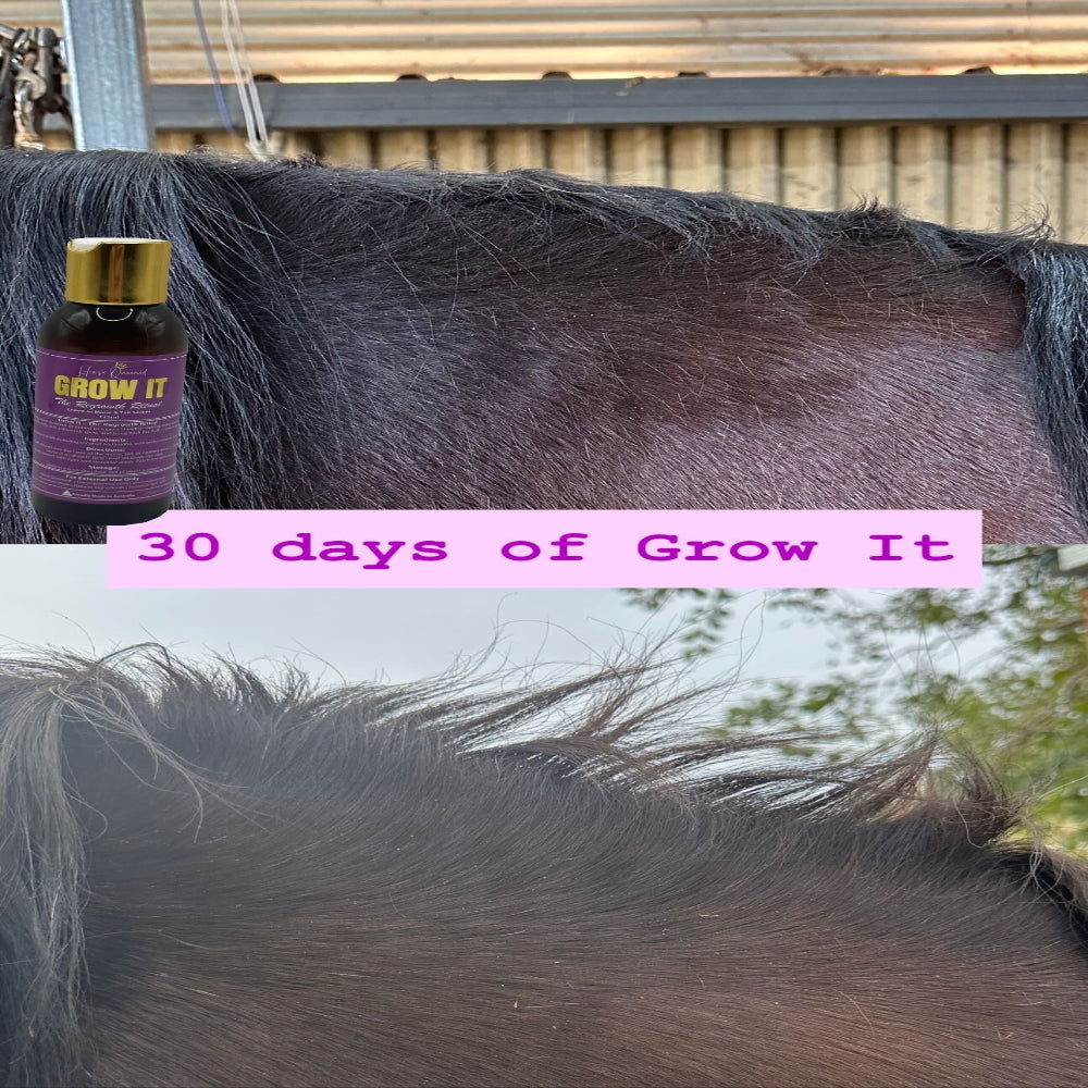 Collage showing a bottle labeled 'Grow It' and a horse with denser hair after 30 days, set against a wooden fence background.