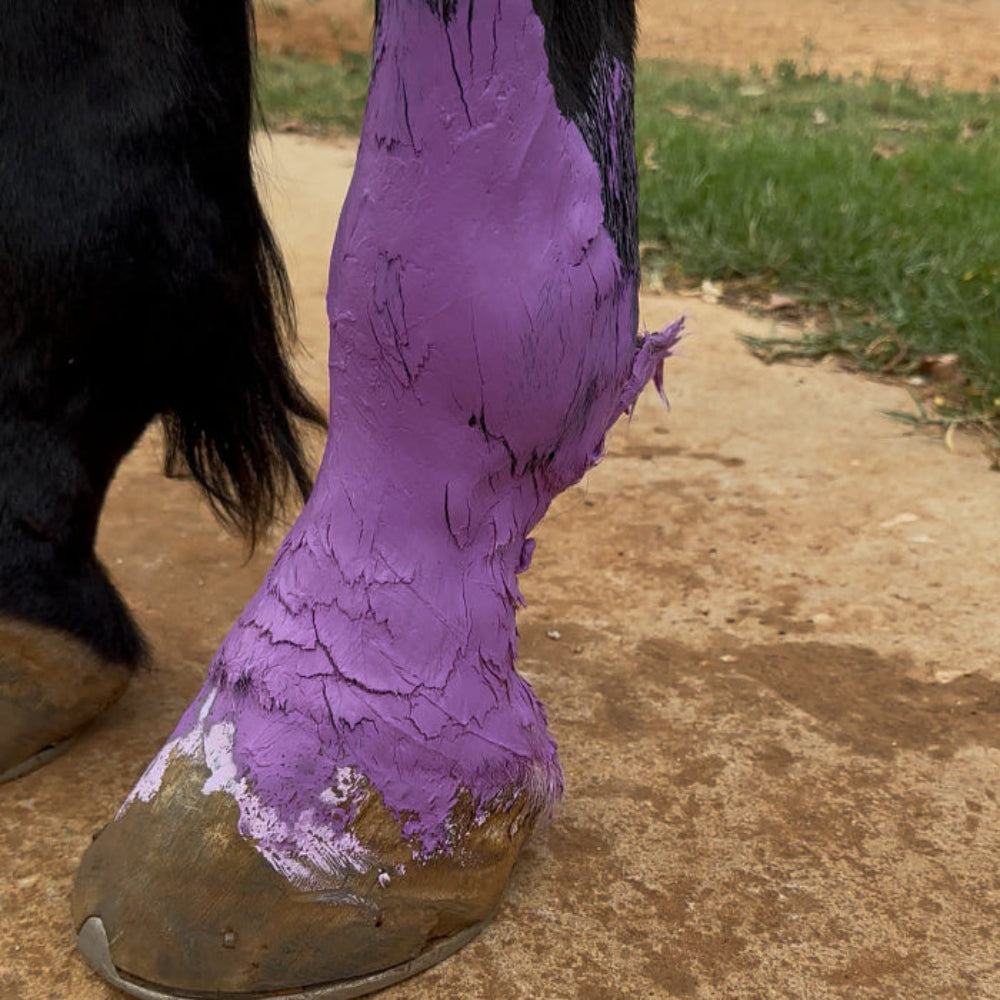 Mask It Purple Clay Mask Spa for Horses | Natural Coat Wash