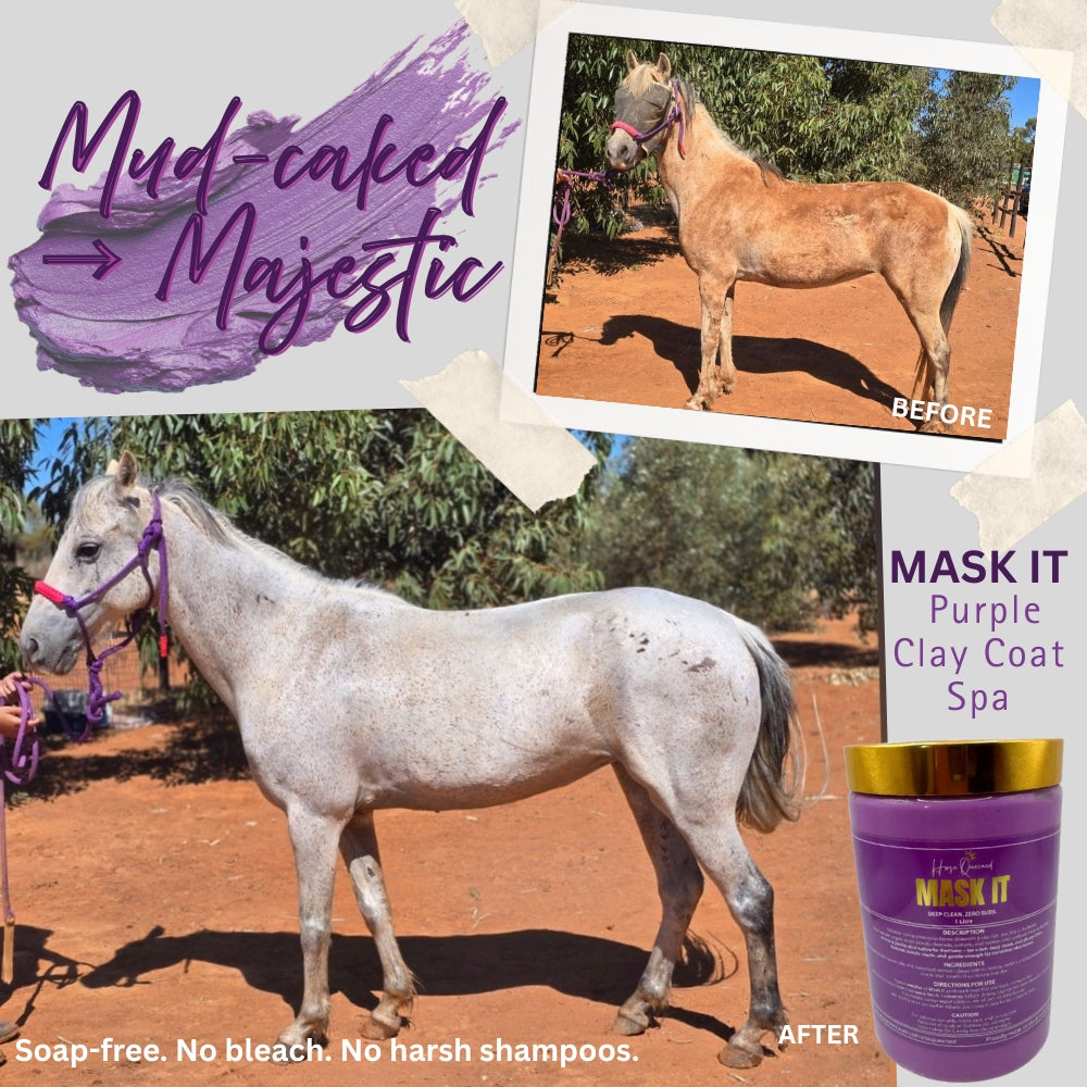 Mask It Purple Clay Mask Spa for Horses | Natural Coat Wash