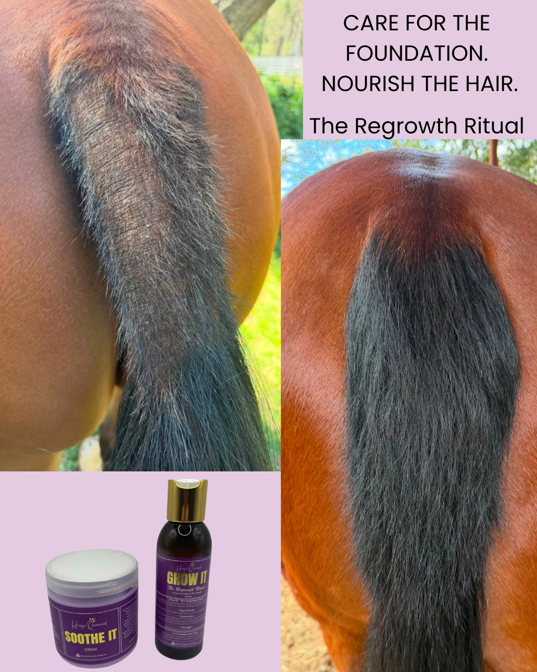 Grow It – Horse Leave-In Mane & Tail Serum | The Regrowth Ritual