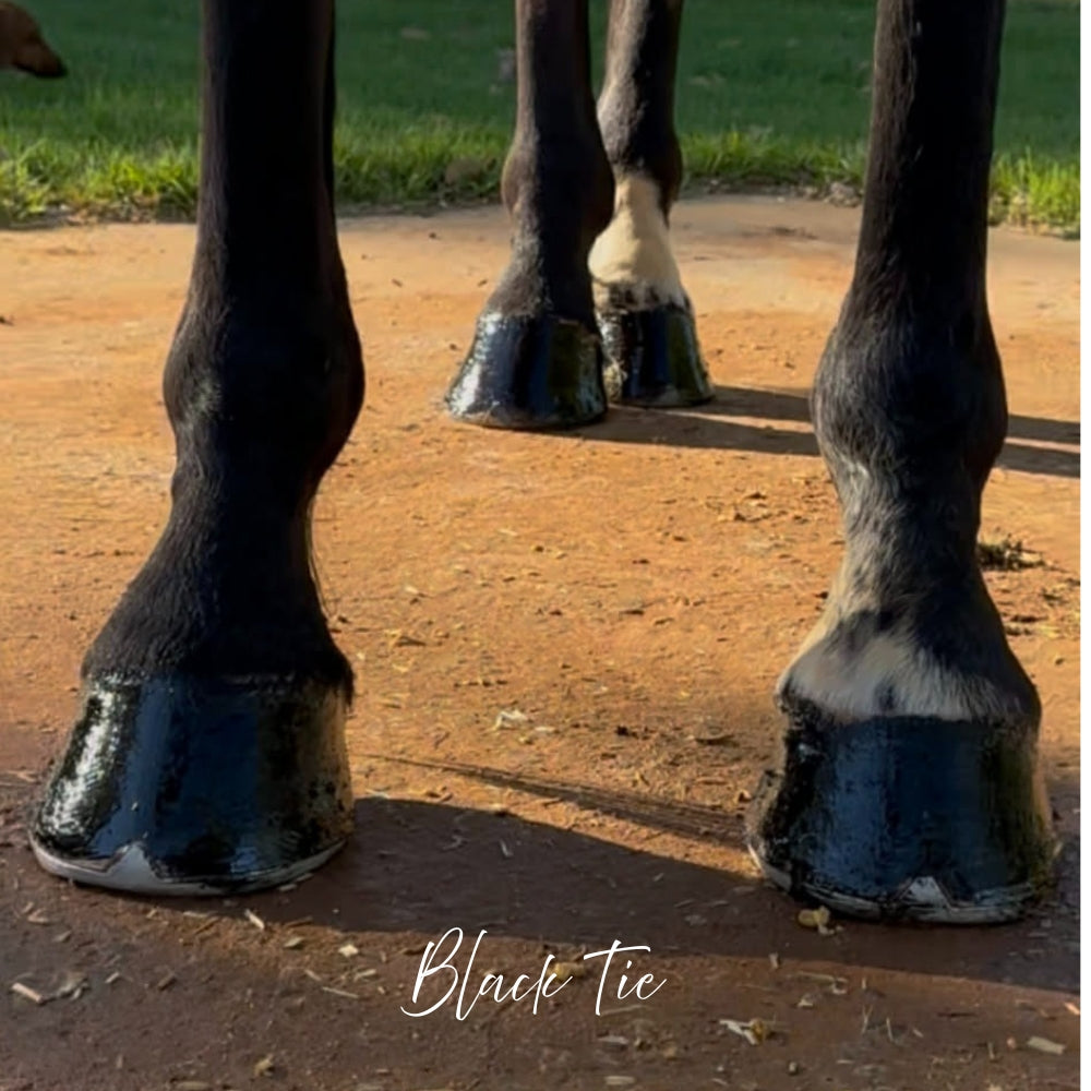 Polish It – Hoof Royalty
