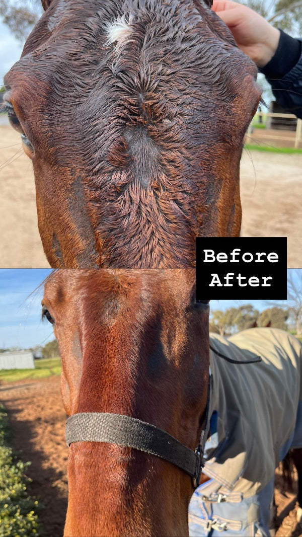 Soothe It – Purple Comfort Cream