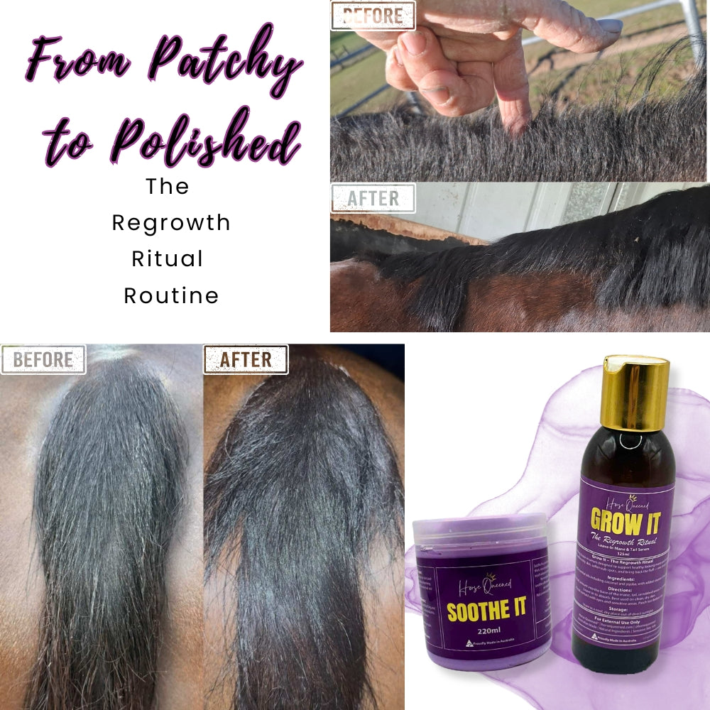 The Regrowth Ritual Pack- Natural Coat, Mane & Tail Care Duo | Soothe It + Grow It