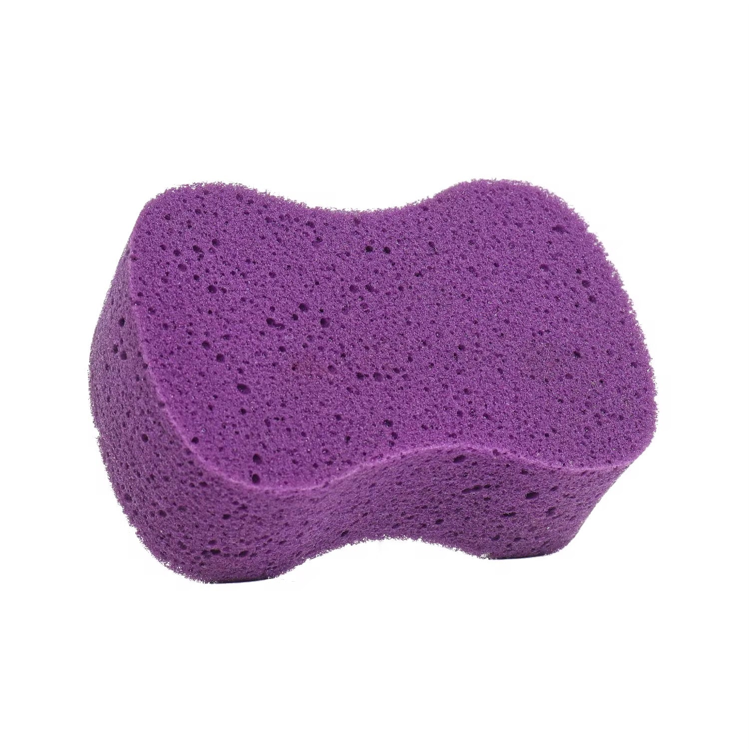 Suds It Sponge