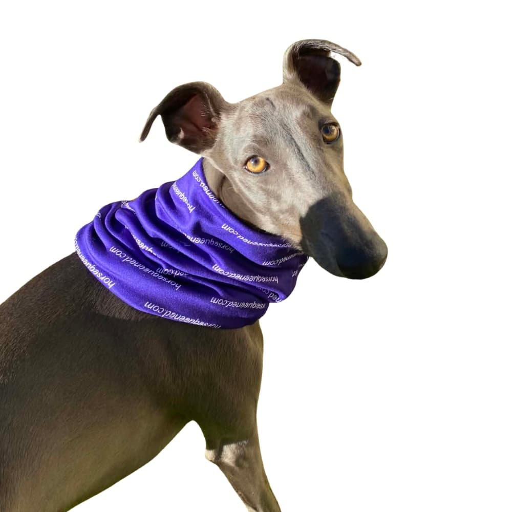 Horse Queened™ Winter Neck Gaiter