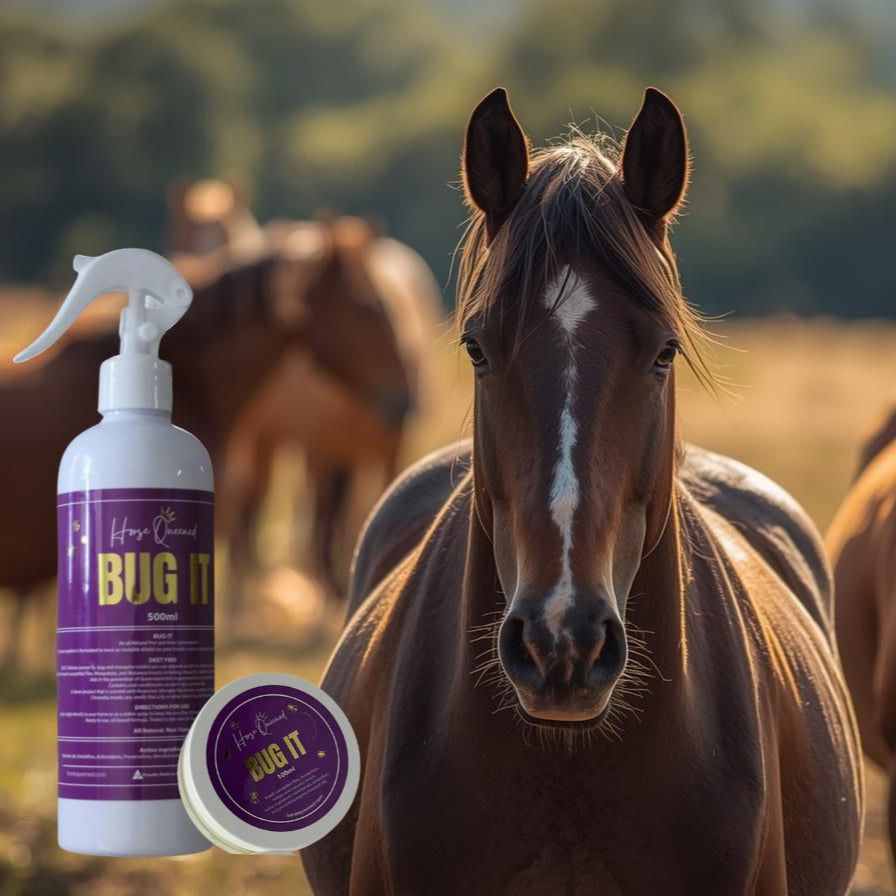 Horse Queened Bug It pack – 500ml natural insect repellent spray and 100ml balm for horses, pictured with horse in background.