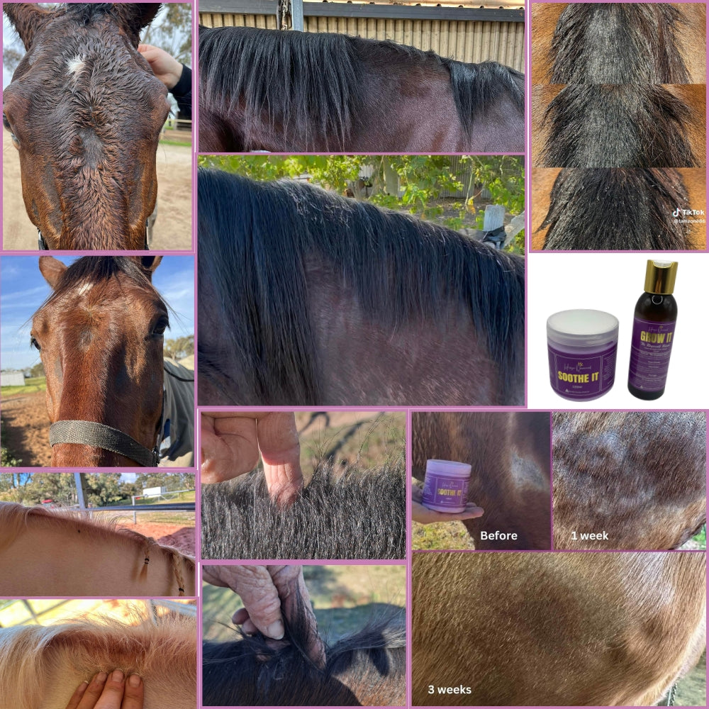 The Regrowth Ritual Pack- Natural Coat, Mane & Tail Care Duo | Soothe It + Grow It