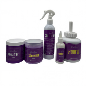 Horse Queened Essentials Kit