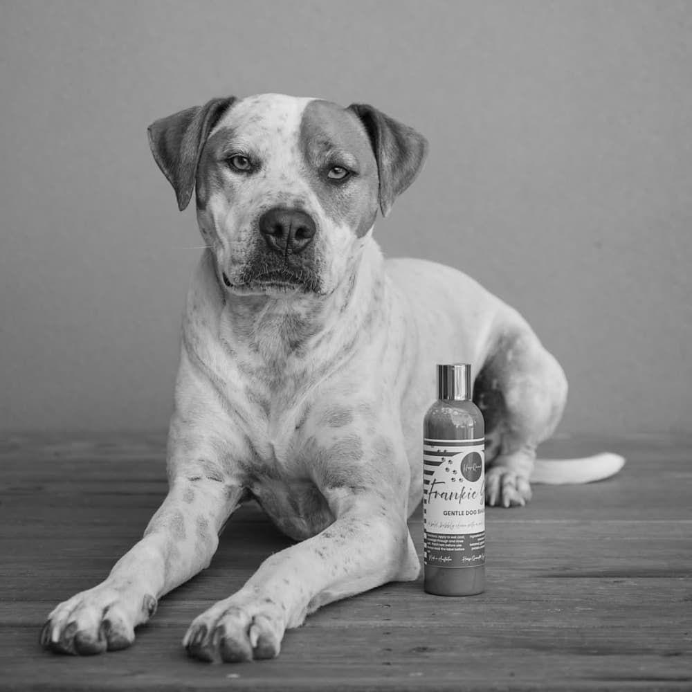 Frankie Suds Purple – Dog Grooming Gentle Whitening Shampoo - Horse Queened
