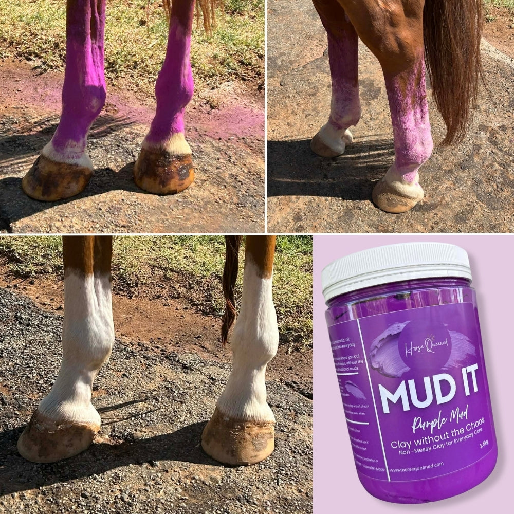 Mud It – Purple Clay for Horses | Clay Without the Chaos