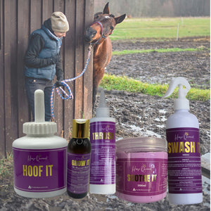 Winter Survival Pack