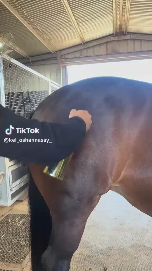 Glitz It – 3-in-1 Coat Spray | Shine + Skin Nourishment + Botanical Freshness - Horse Queened